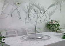 Aa amdan (Dilek aac)