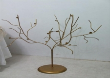 Aa amdan (Dilek aac)