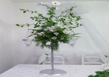 Aa amdan (Dilek aac)