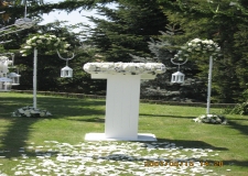 Nikah Krss